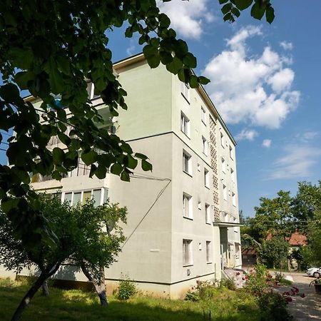 Nya Apartment Sighişoara Exterior foto